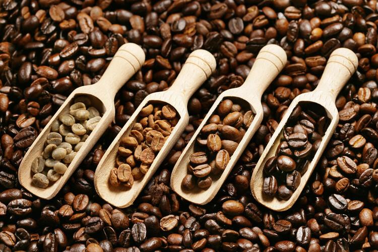 进口咖啡豆供应商烘焙咖啡供应商上海咖啡烘焙厂直供